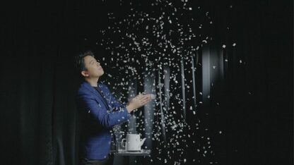 Snowflake SG by Bond Lee and ZF Magic - Trick - Image 4