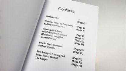 Magical Problems & Mental Solutions by Michael Murray - Book - Image 2