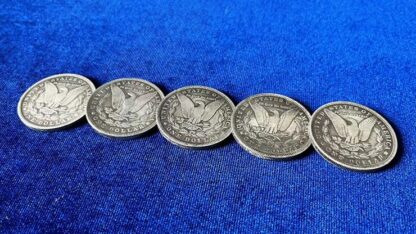 NORMAL MORGAN COIN (5 Dollar Sized Replica Coins) by N2G - Trick - Image 2