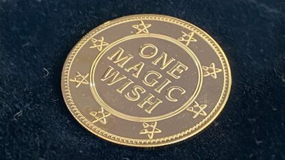 Magic Wishing Coins Gold (12 Coins) by Alan Wong - Trick - Image 2