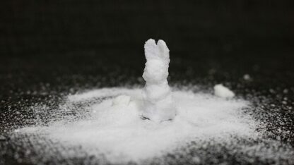 SUGAR BUNNY by Steve Fearson - Image 2