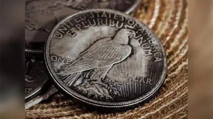 CS Peace Dollar (replicas) by N2G - Image 2