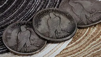 CS Peace Dollar (replicas) by N2G - Image 4