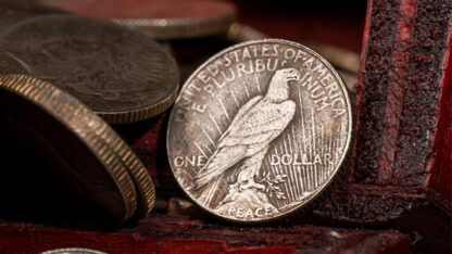 Mini Peace Dollar (Pack of 5 coins) by N2G - Image 4