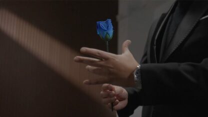 Eternal Rose by Bond Lee - Image 4
