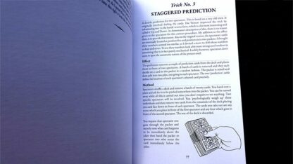 Prestidigitator by Brian Caswell - Image 4