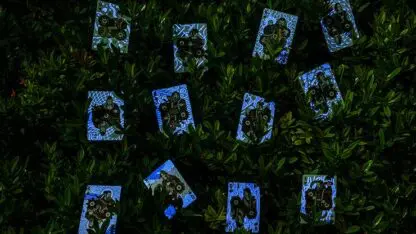 Transition Playing Cards - Image 3