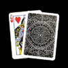Luna Marked Poker Premium Cards (Standard) by Electricks - Image 2