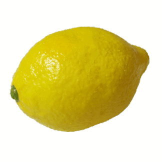 Super Real Latex Lemon - Trick