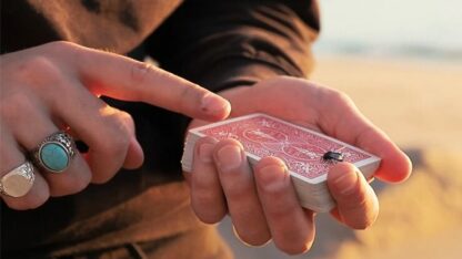 The FLY LITE by Marcos Waldemar & Invisible Compass - Image 2