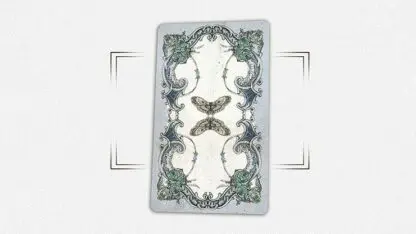 House by the Window (Collectors Edition) Tarot Deck - Image 3