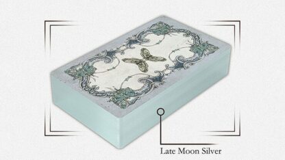 House by the Window (Collectors Edition) Tarot Deck - Image 5
