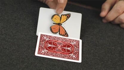 Caterfly (Red) by My Magical Project - Image 5