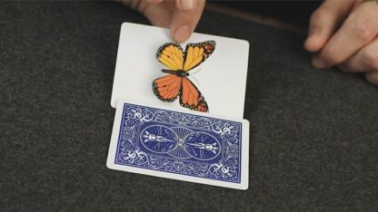Caterfly (Blue) by My Magical Project - Image 5