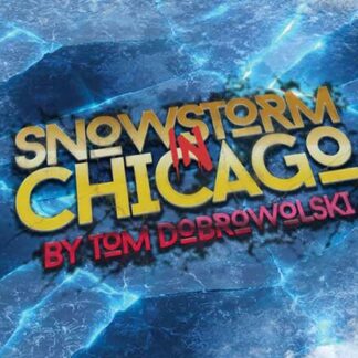 Bigblindmedia Presents Snowstorm In Chicago (Red) by Tom Dobrowolski