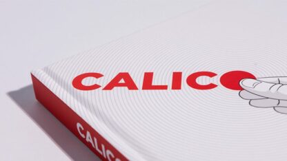 Calico by Rick Holcombe - Image 2