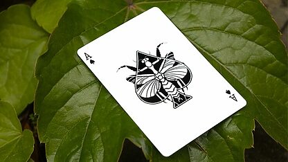 Mantis Playing Cards (Marked) - Image 3