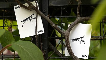 Mantis Playing Cards (Marked) - Image 2