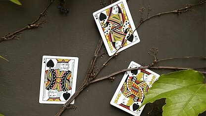 Mantis Playing Cards (Marked) - Image 5