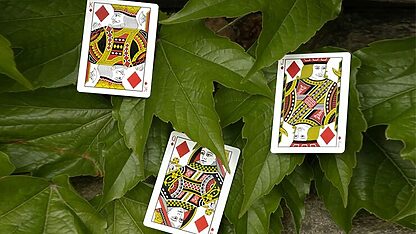 Mantis Playing Cards (Marked) - Image 6