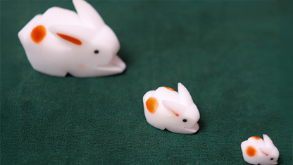 The Bunnies! 3D Rabbits (Parents, Kids & Grandpa) - Image 2