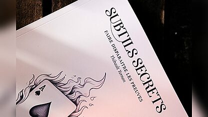 Subtle Secrets 1 by Thibault Ternon - Image 2