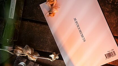 Subtle Secrets 1 by Thibault Ternon - Image 6