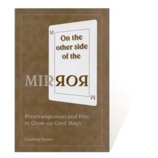 On the Other Side of the Mirror by Cushing Strout - Book