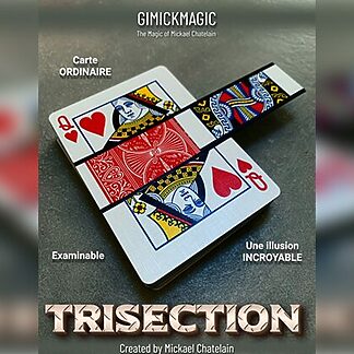 TRISECTION (Blue) Mickael Chatelain