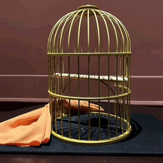 Tommy Wonder Classic Collection Flying Birdcage by JM Craft - Trick