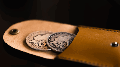 Pocket Portal (Dollar) by Samuel King - Image 4